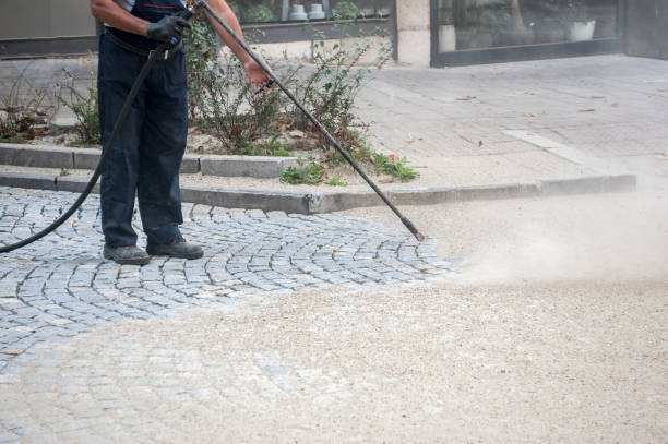 Best Brick and Stone Cleaning in Clemson, SC